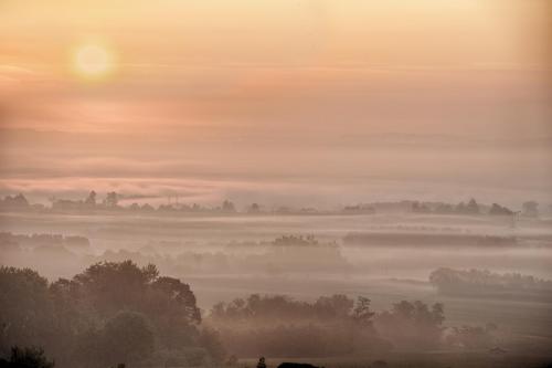 Vendanges en Beaujolais