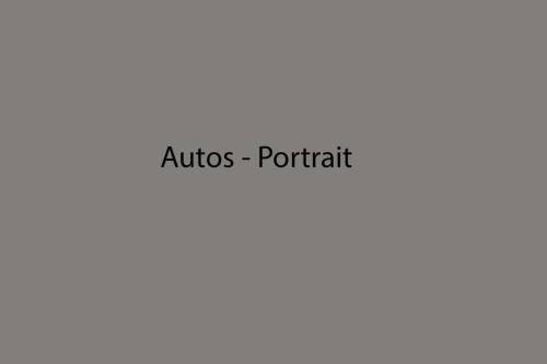 Auto-Portrait