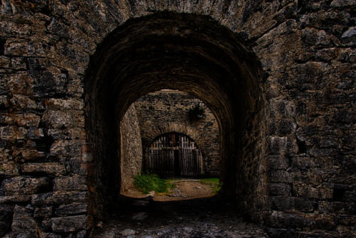 B_DSC_1574