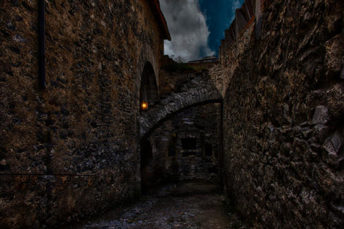 C_DSC_1583